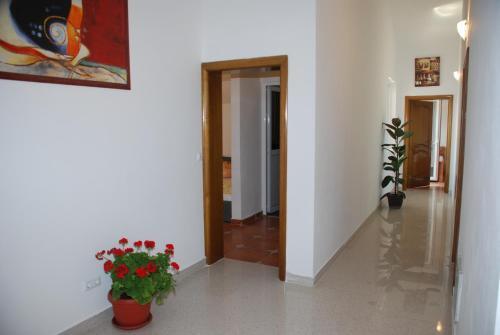 Ульцинь: Guest House Nura