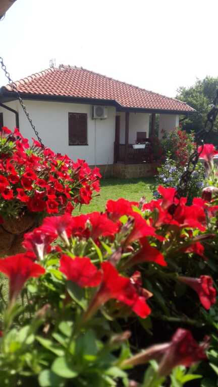 Ульцинь: Апартаменты Eco Village San