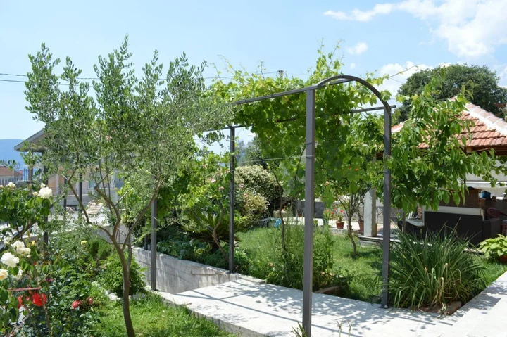 Тиват: Apartments Adžić