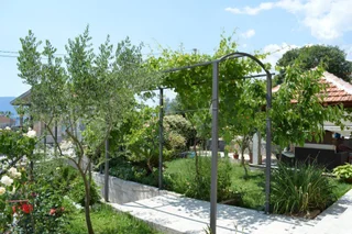 Тиват: Apartments Adžić