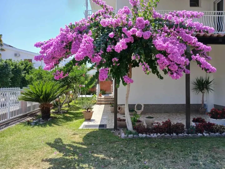 Ульцинь: Nimanbegovic Rooms