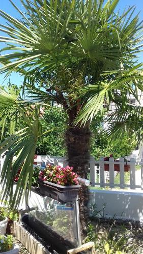 Ульцинь: Guest House Rejjan