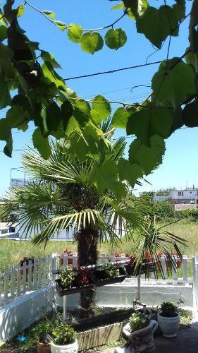 Ульцинь: Guest House Rejjan