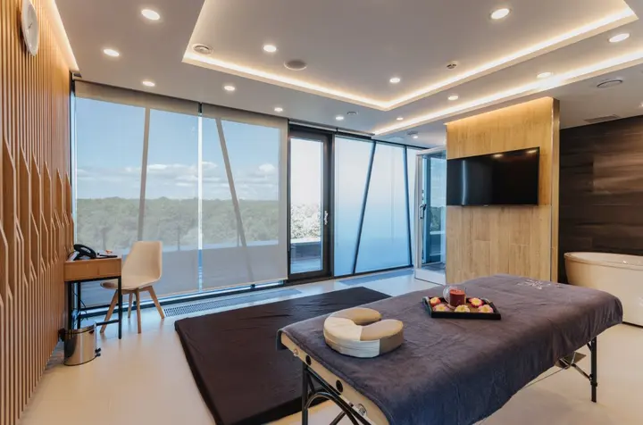 Репино: Санаторий Икс-Клиника