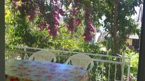 Ульцинь: Guest House Magnolia