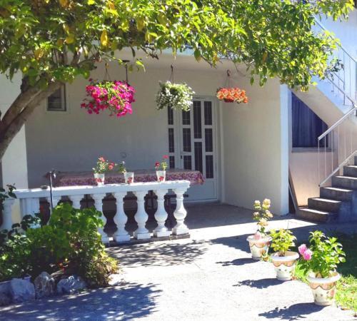 Ульцинь: Guest House Magnolia