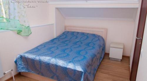 Петергоф: Alla Guest House