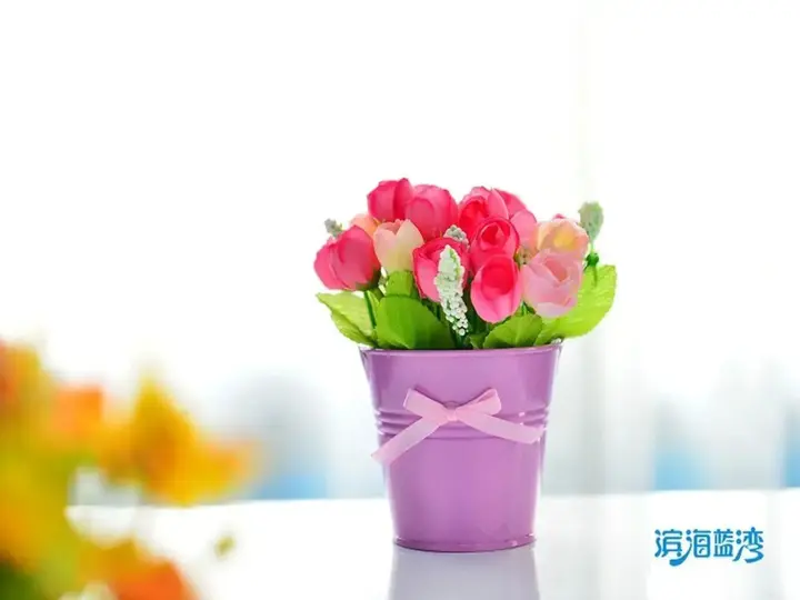 Сямынь: Xiamen Coast Blue Bay Inn
