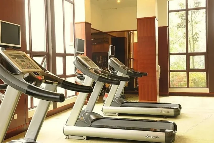 Чэнду: Zenec Elegant Hotel