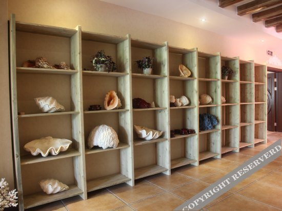 carousel image 3