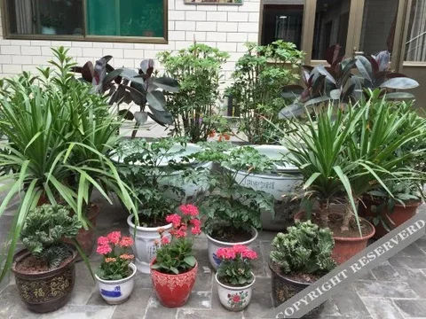 Цзиньчжун: Pingyao Juyuanju Inn