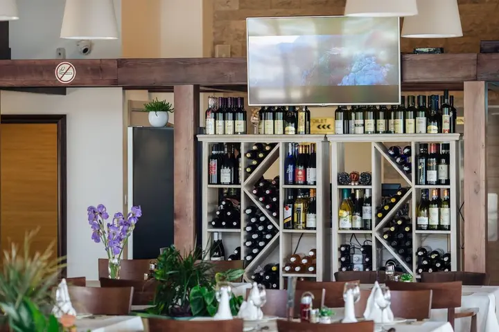 Даниловград: Hotel Sokoline