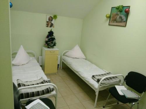 Петергоф: Hostel on Vedeneeva 18