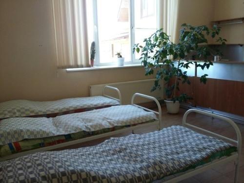 Петергоф: Hostel on Vedeneeva 18