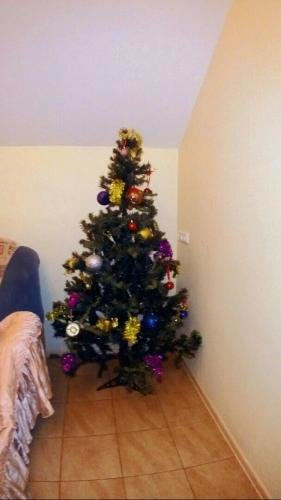 Петергоф: Hostel on Vedeneeva 18