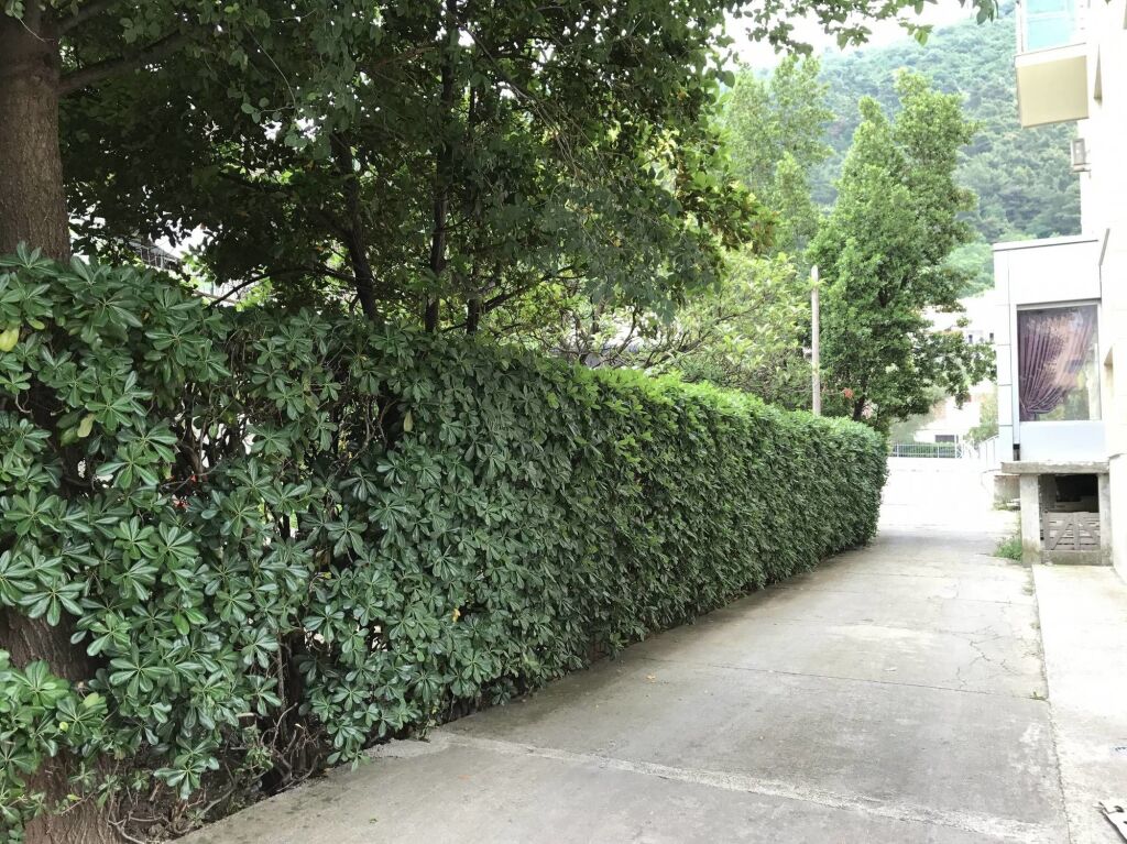 Apartments Dali — фото 1