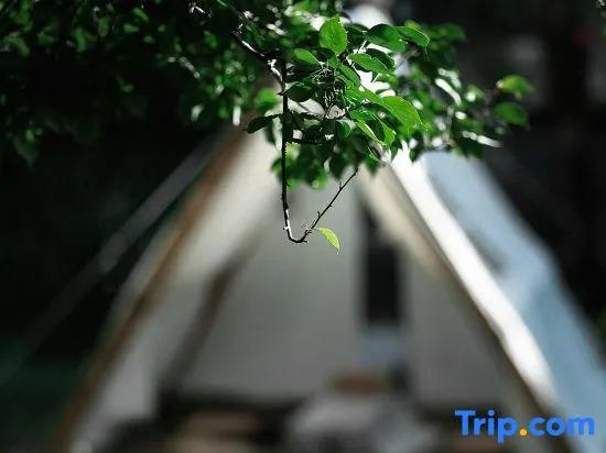 Лицзян: Adonis Inn Lijiang