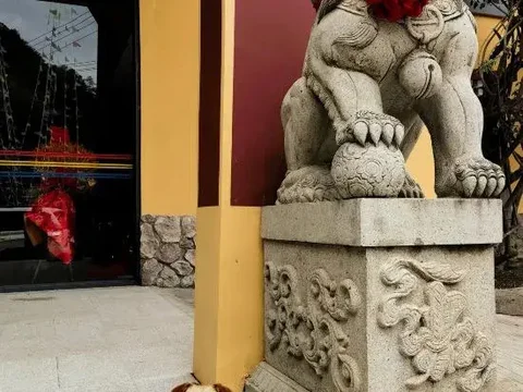 Шангри-Ла: Hutiaoxia Nixiang Hotel
