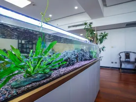 Таншань: Fortune Blue Bay Hotel (Caofeidian Free Trade Zone Municipal Building)