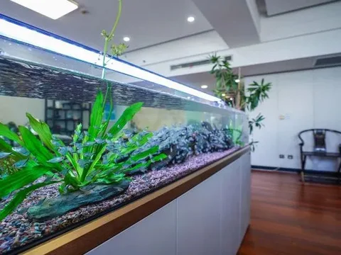 Таншань: Fortune Blue Bay Hotel (Caofeidian Free Trade Zone Municipal Building)
