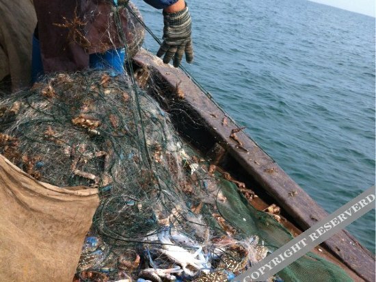 carousel image 0