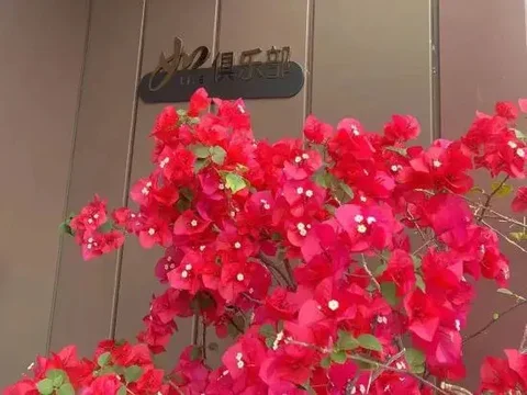 Гуйлинь: Home Inn (Guilin Railway Station)