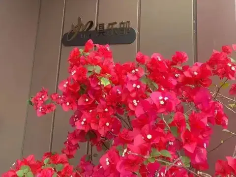 Гуйлинь: Home Inn (Guilin Railway Station)