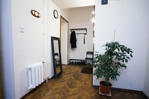 Санкт-Петербург: Fikus Hostel