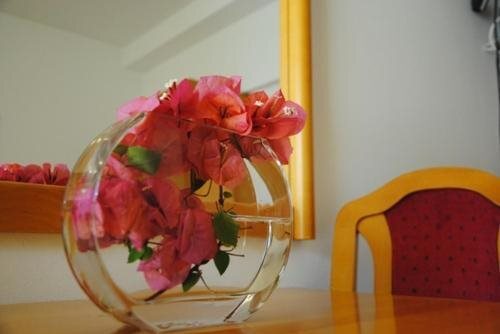 Херцег-Нови: Apartmani Vila Kukoljac