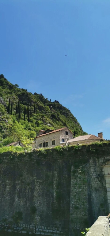 Доброта: Apartments Casa di Cattaro