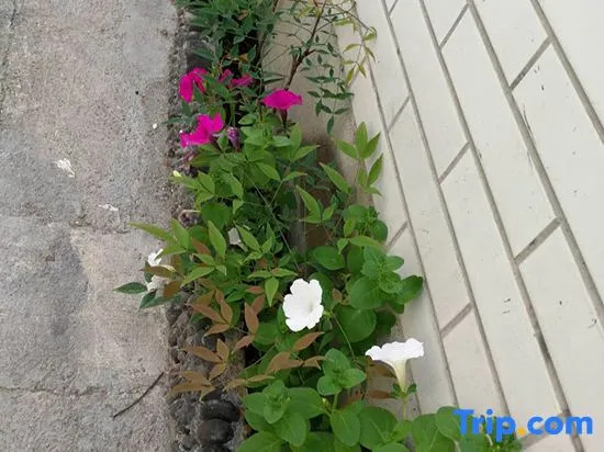 Тайчжоу: Tiantai Fragrance Homestay