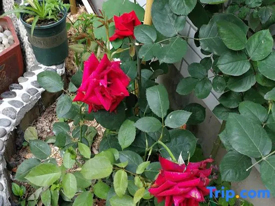 Тайчжоу: Tiantai Fragrance Homestay