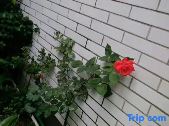 Тайчжоу: Tiantai Fragrance Homestay