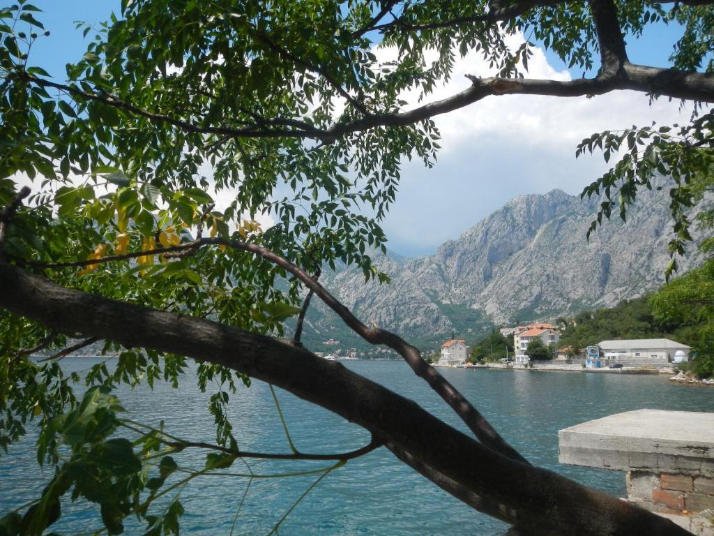 Доброта: Charming apartment in Kotor
