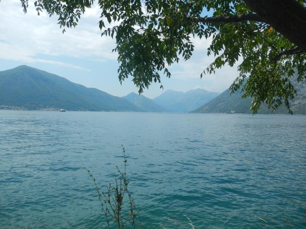 Доброта: Charming apartment in Kotor
