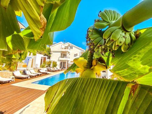 Ульцинь: Apartments Secret Garden