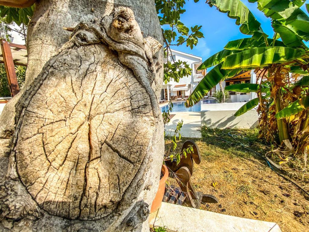 Ульцинь: Apartments Secret Garden
