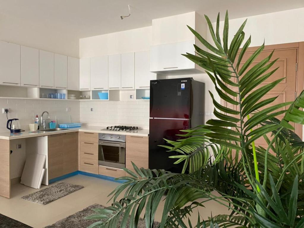 Эль-Аламейн: Apartment in Marassi