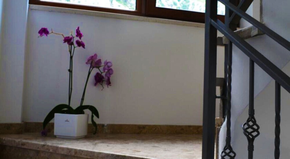 Доброта: Bocche di Cattaro Apartments