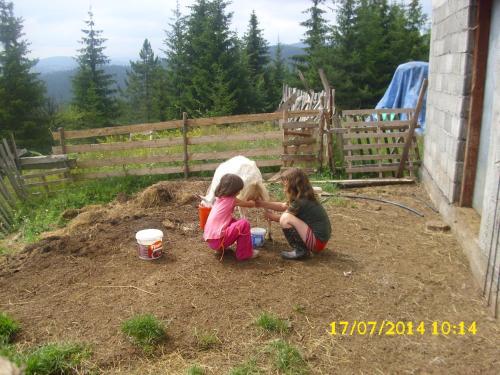 Каньон Tara: Eco Camp Drno Brdo