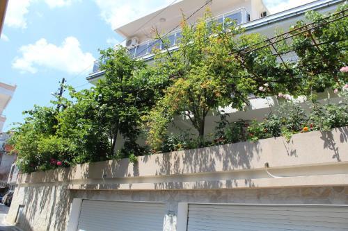 Ульцинь: Apartments Gazi