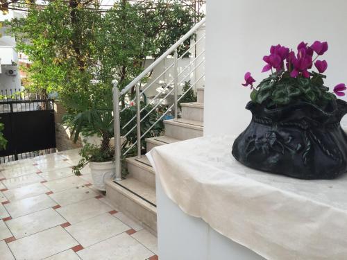 Ульцинь: Apartments Gazi