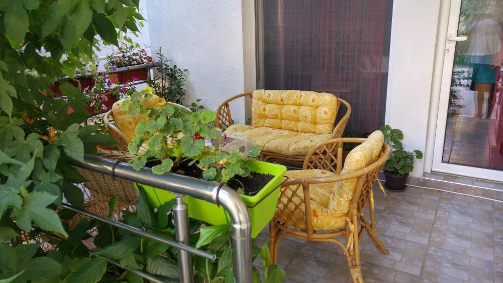 Сутоморе: Apartment Djokic