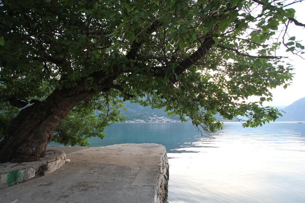 Доброта: Adriatic Pearl Apartments