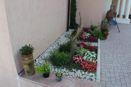 Ульцинь: Apartments Kan