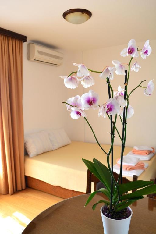 Петровац: Apartment Matea