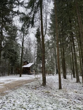 Зеленоград: Дурыкино Глэмпинг