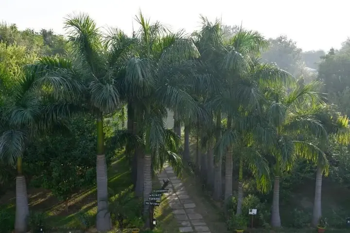 Савай-Мадхопур: Sultan Bagh Ranthambore