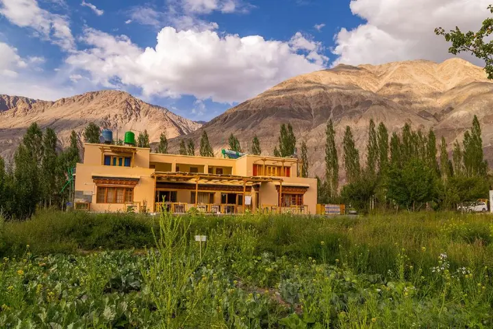 Хундер: Nubra Ecolodge