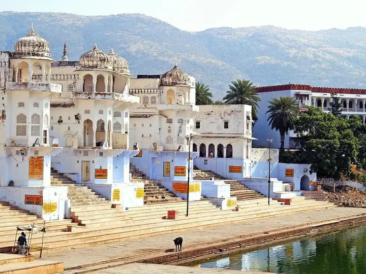 Пушкар: Anandam Palace Pushkar